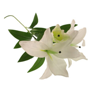 103cm Giant Tiger Lily Spray With Bud White-0