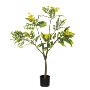 Sunshine Tree 94cm-0