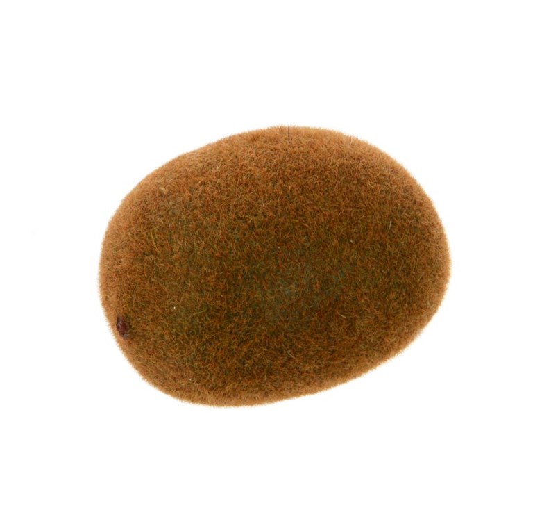 Kiwi Fruit (Not Weighted) 7cm Green-0