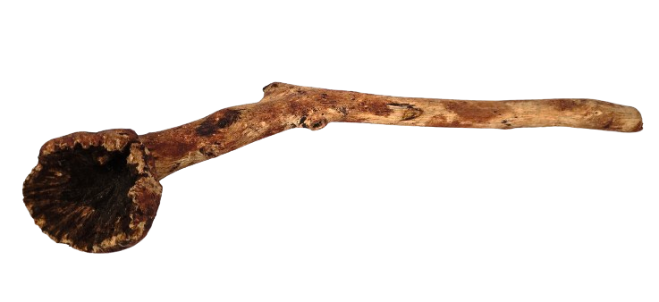 Congonha Branch-0