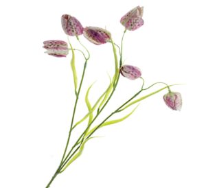 Artificial Fritillaria - Pink/Green (6 heads, 65cm long)-0