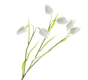 Artificial Fritillaria - White/Green (6 heads, 65cm long)-0