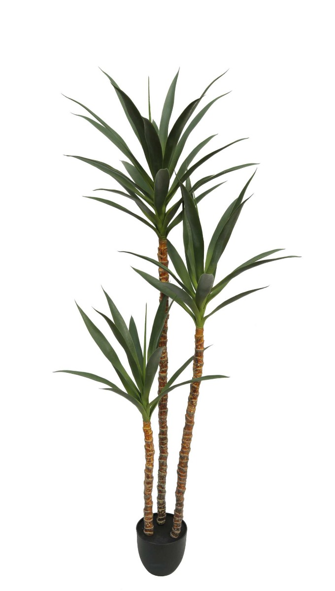 Artificial Yucca Tree In Pot 168cm UV Protected-0