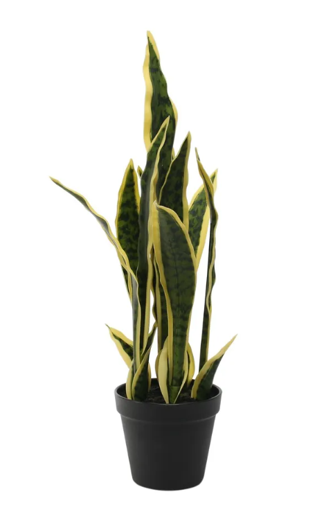 51cm Artificial Sansevieria-0