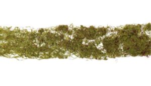 6cm x 90cm Moss Roll Green