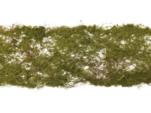 15cm x 90cm Moss Roll Green