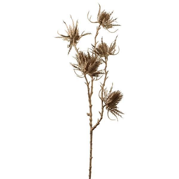 69cm Metallic Eryngium Spray Champagne-0