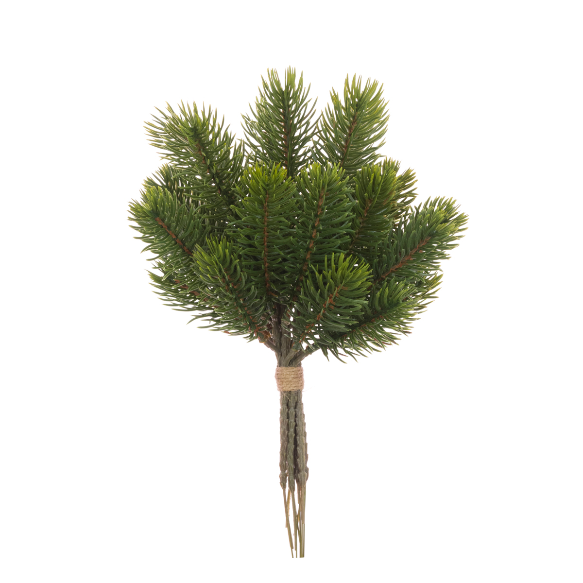 Bayberry Pine Bundle 29cm-0