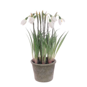 Frosted Snowdrops In Pot 27cm-0