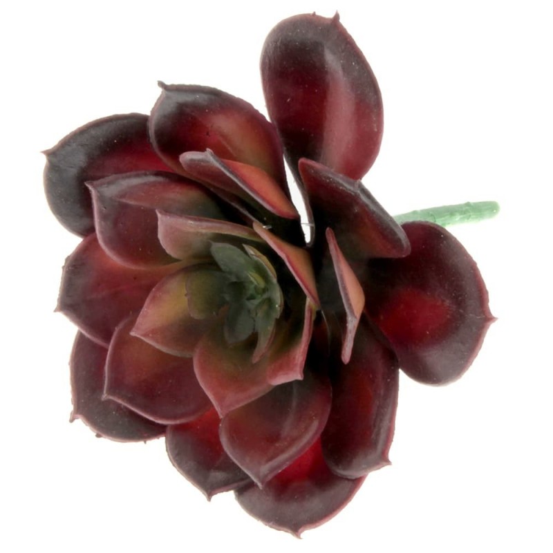 Artificial Succulent - Echeveria 10cm Red-0
