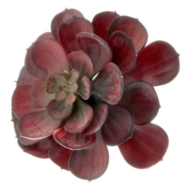 Artificial Succulent - Large Echeveria 15cm - Red-0