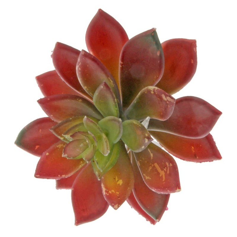 Artificial Succulent - Stonecrop 10cm - Red-0