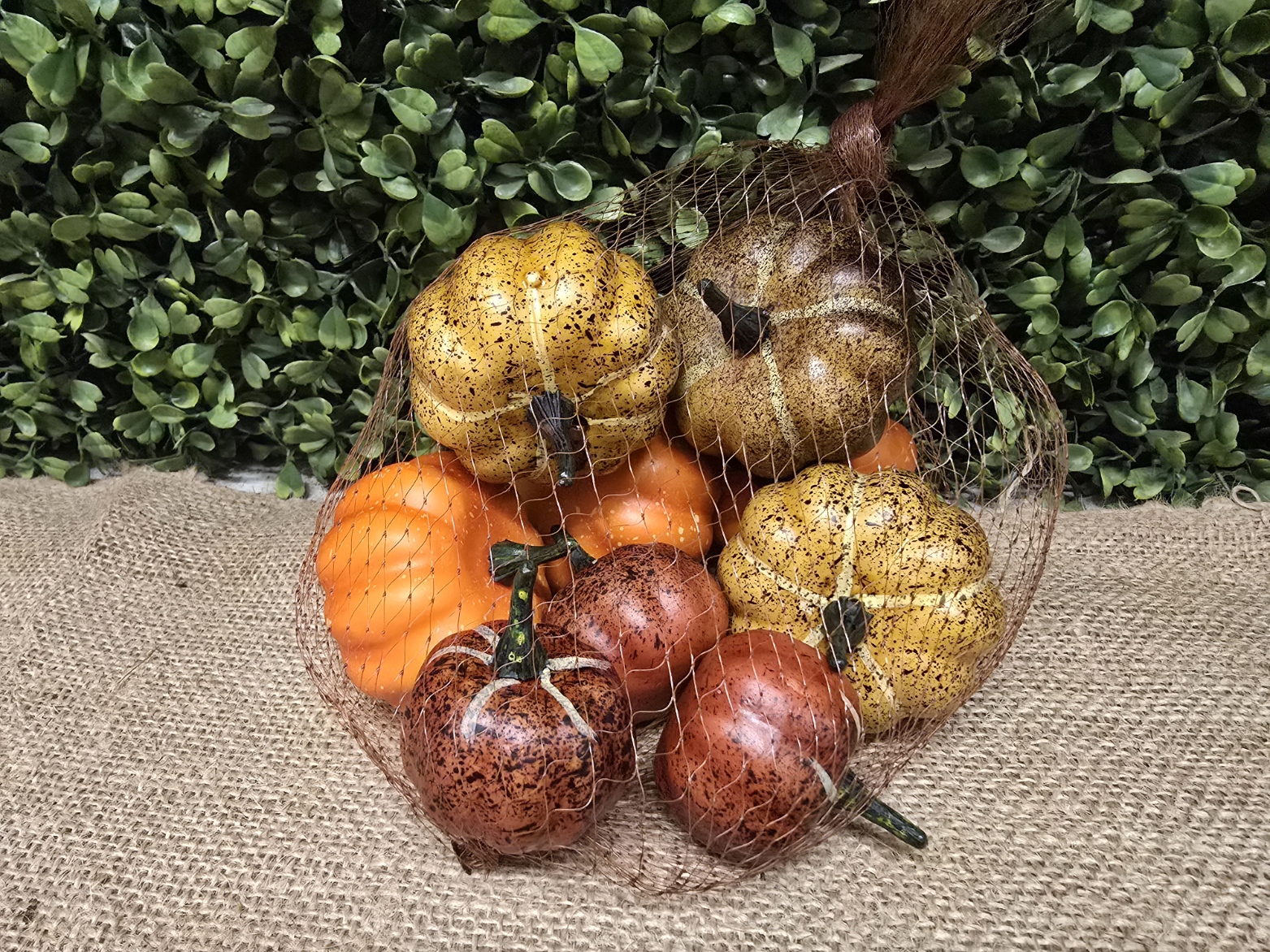 Assorted Pumpkins – Orange & Brown  x 9