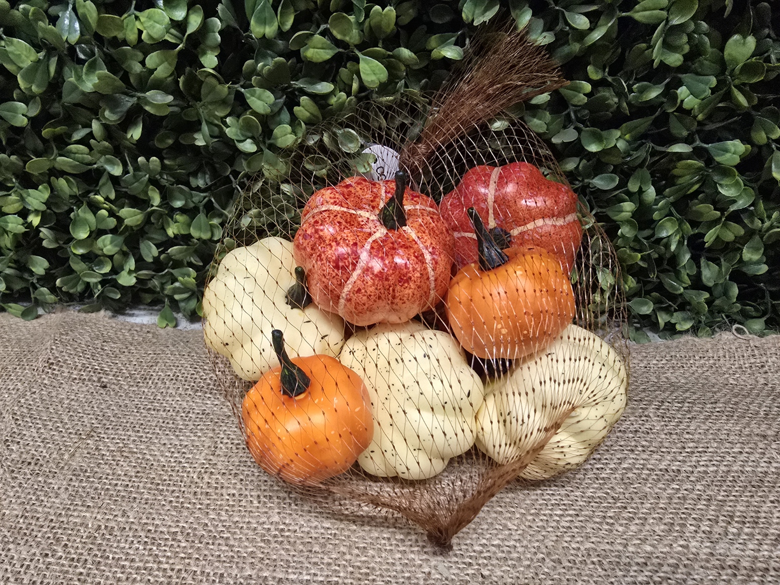 Assorted Pumpkins – Orange & Cream x 9