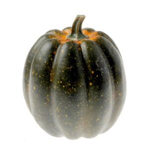 Large Green Appalachian Pumpkin (24x25cm)-0