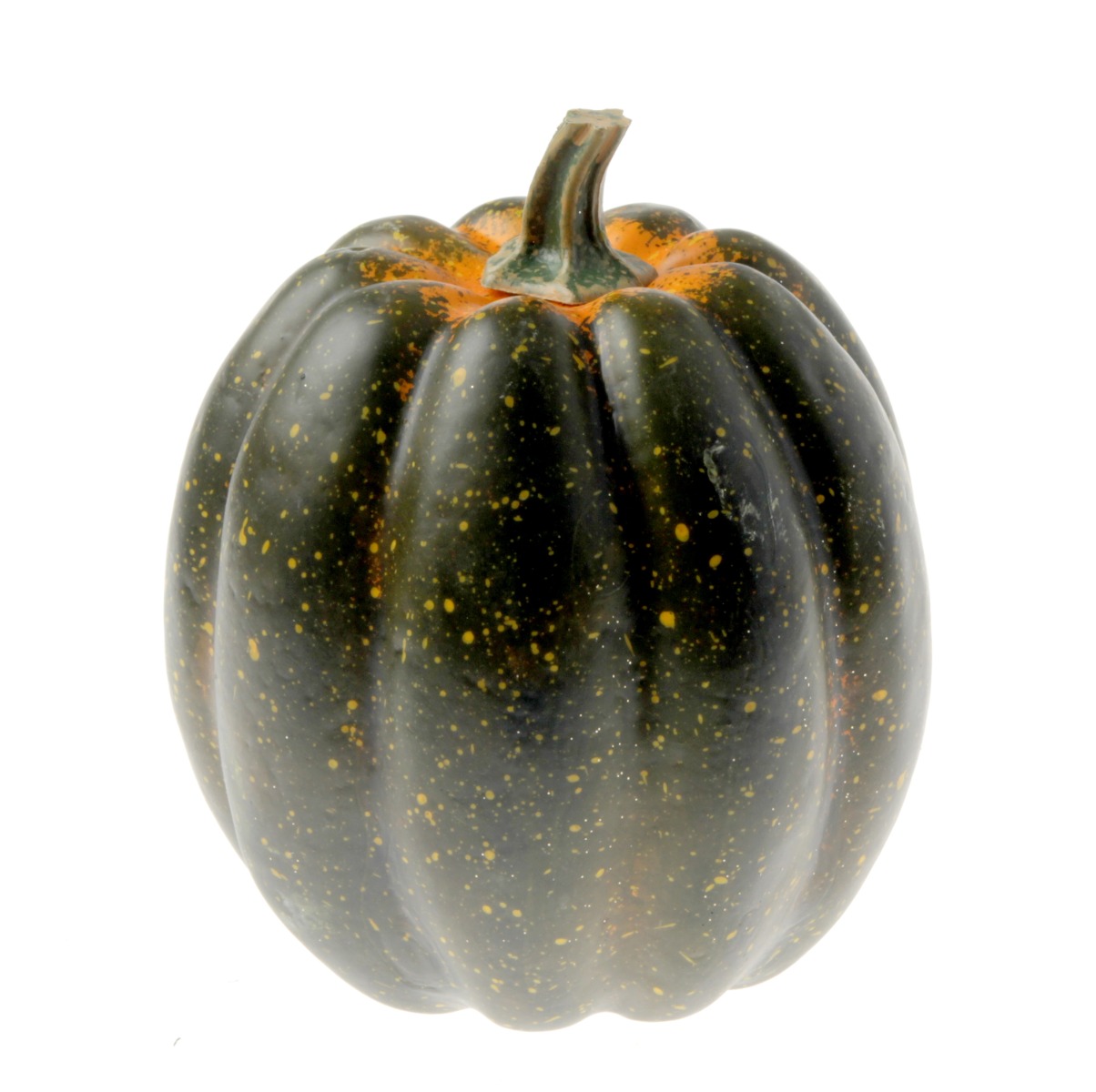 Large Green Appalachian Pumpkin (24x25cm)-0