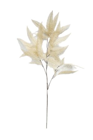 Single Fern Spray - Cream 102cm-0