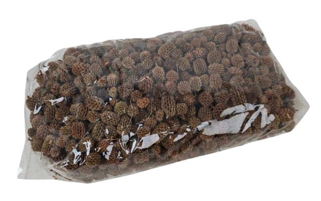 Casuarina Heads Natural x 1kg-26319