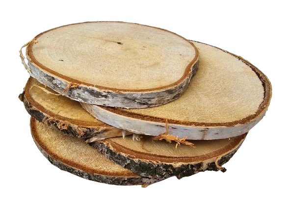 Wood Slice 15-16cm x 5