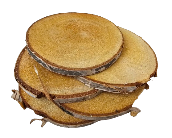 Wood Slice 17-18cm x 5