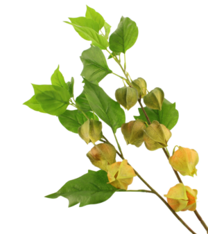 90cm Chinese Lantern Spray Yellow-0