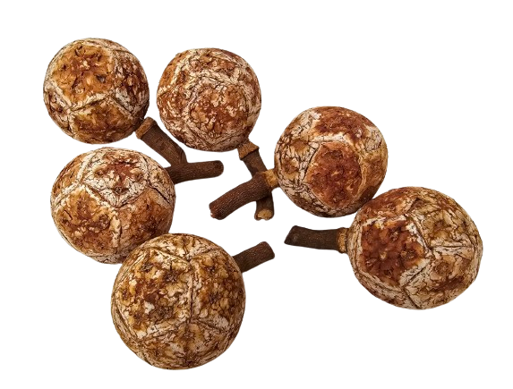 Maluku Fruit x 6pcs App 5cm Diameter-0