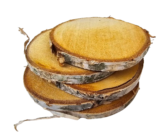 Wood Slice 12-14cm x 5