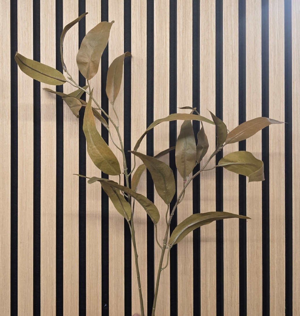 Eco Long Leaf Eucalyptus Spray Green