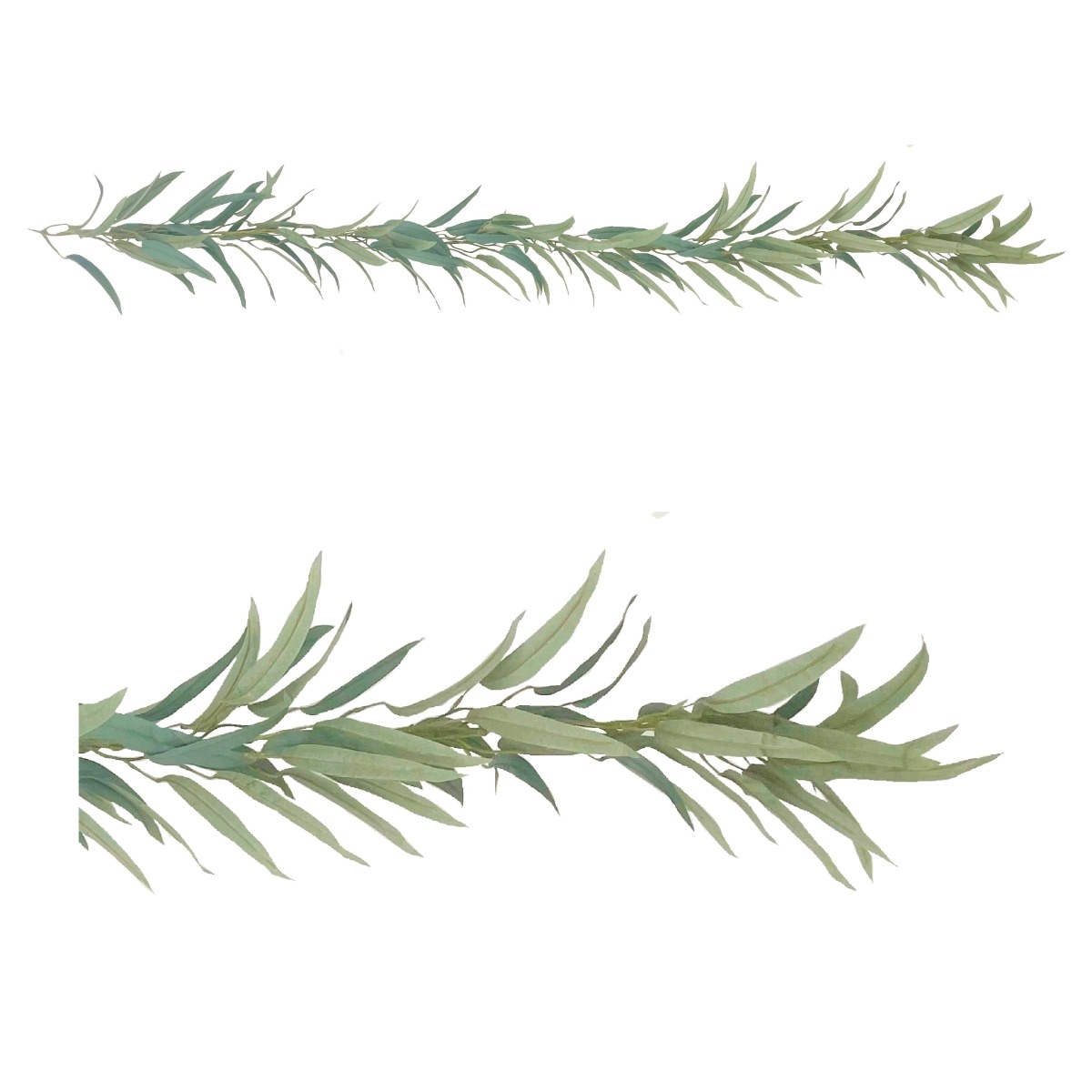 Eucalyptus Gum Foliage Garland 180cm-0