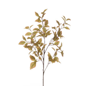 Eco Capsicum Leaf Spray 89cm Green/Brown-0