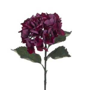 Eco Hydrangea Stem 60cm Burgundy-0