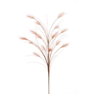 Reed Spray 79cm Brown-0