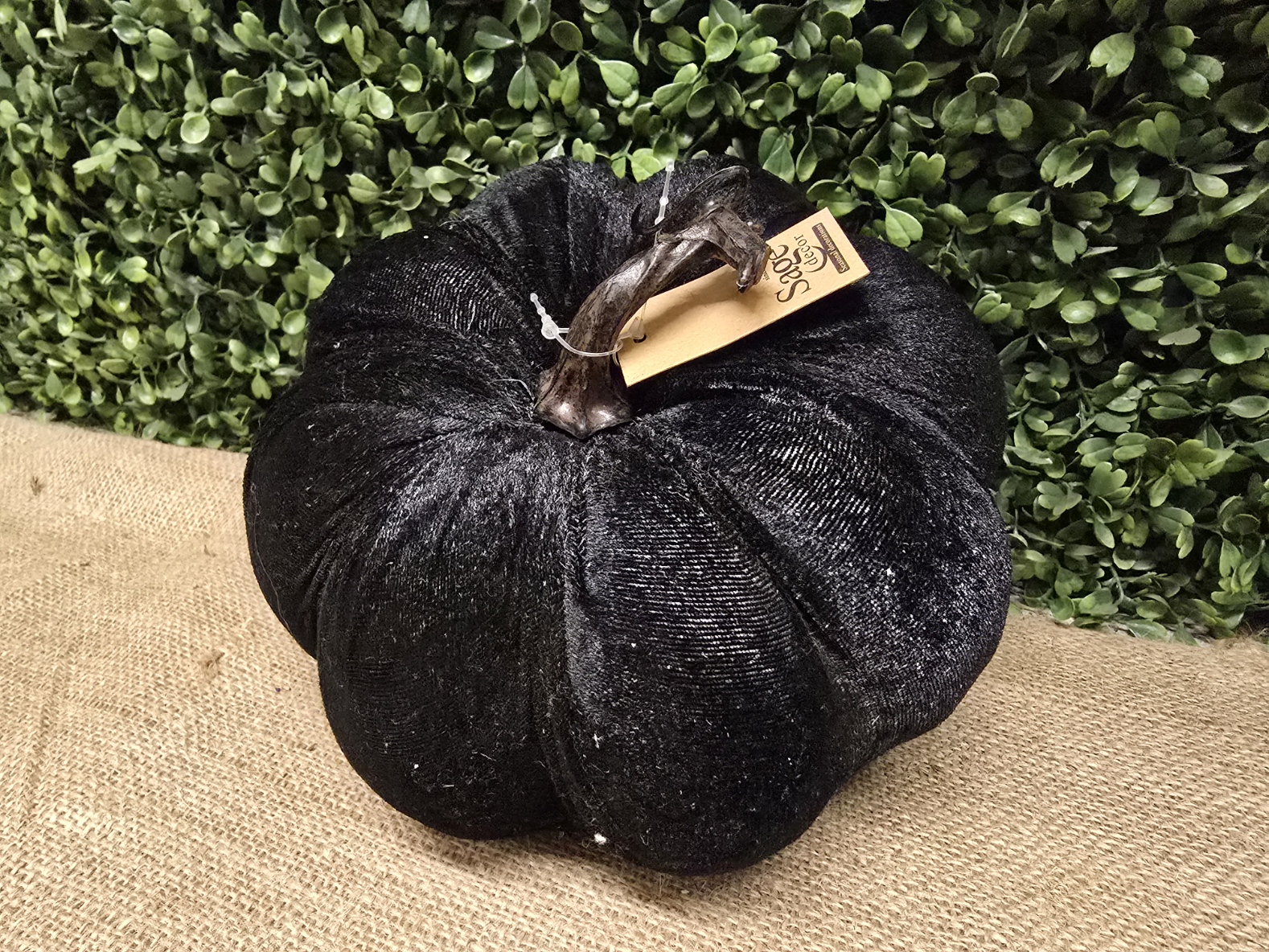18cm Velvet Pumpkin Black