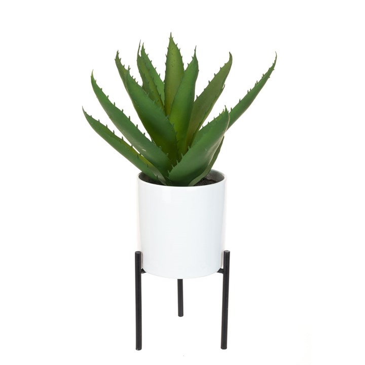 Aloe Pot & Stand - 29cm-0