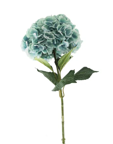 Essential Giant Hydrangea KD - Green/Blue-0