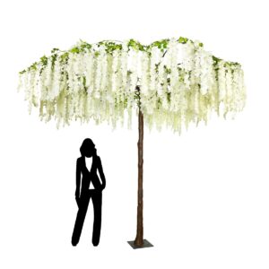 290cm Umbrella Wisteria Tree-0