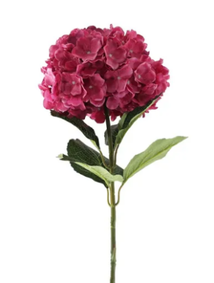 Essential Giant Hydrangea KD - Dark Pink-0