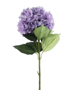 Essential Giant Hydrangea KD - Lilac-0
