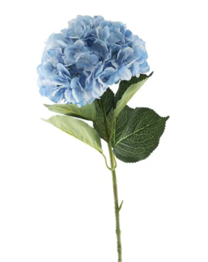 Essential Giant Hydrangea KD - Light Blue-0