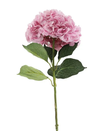 Essential Giant Hydrangea KD - Light Pink-0