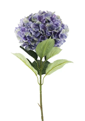 Essential Giant Hydrangea KD - Purple/Green-0