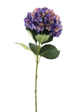 Essential Giant Hydrangea KD - Pink/Purple-0