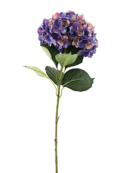 Essential Giant Hydrangea KD - Pink/Purple-0