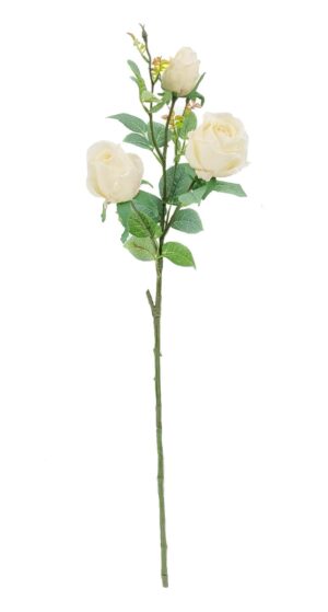 80cm Ivory Rosebud Stem-0