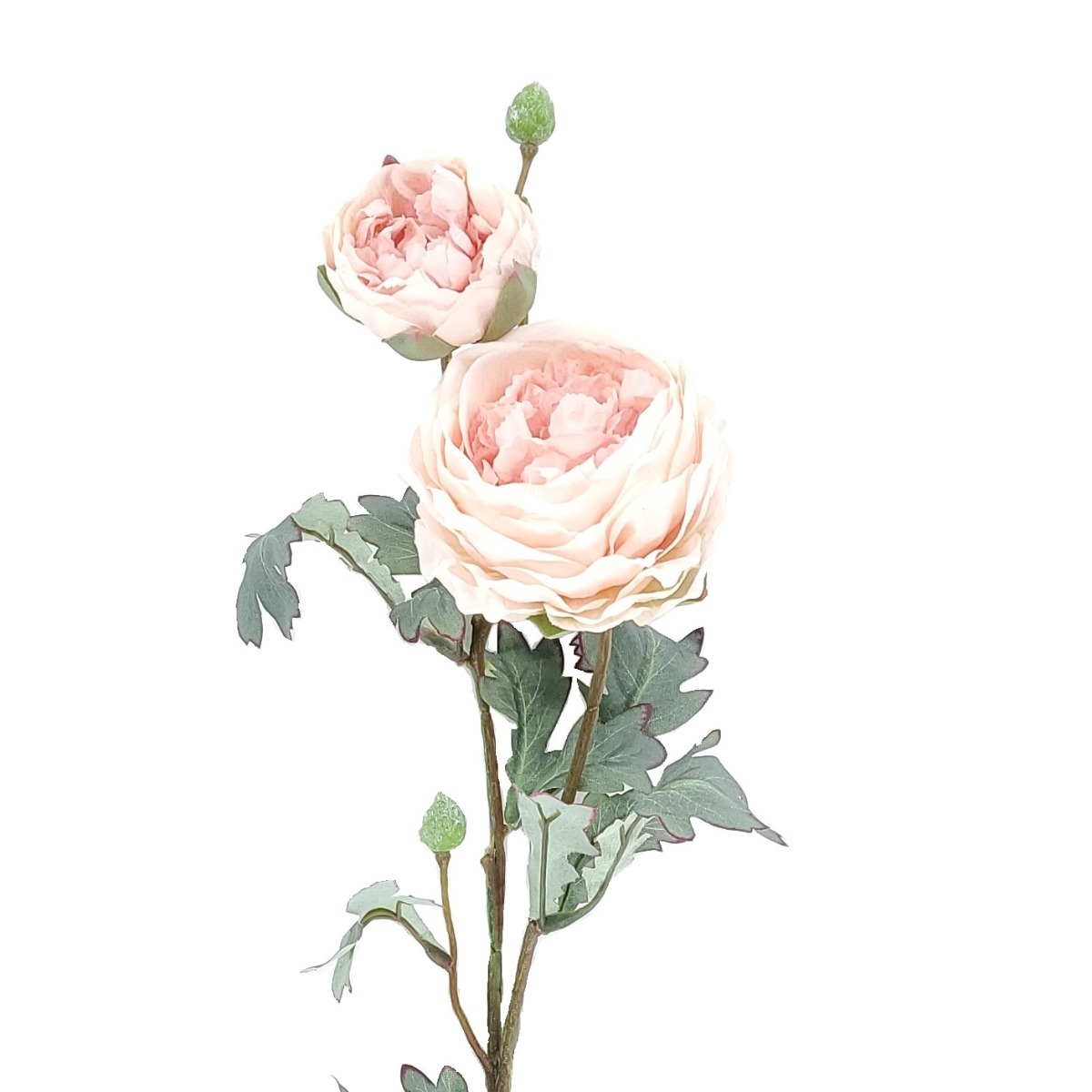 72cm Light Pink Peony Stem-26881