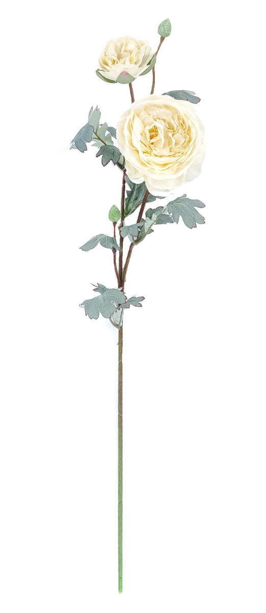 72cm Ivory Peony Stem-0