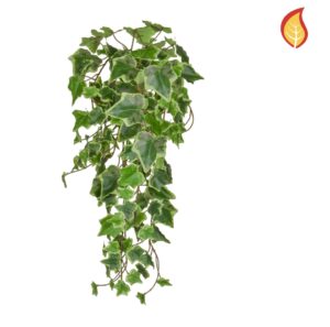 55cm Trailing Ivy Variegated FR
