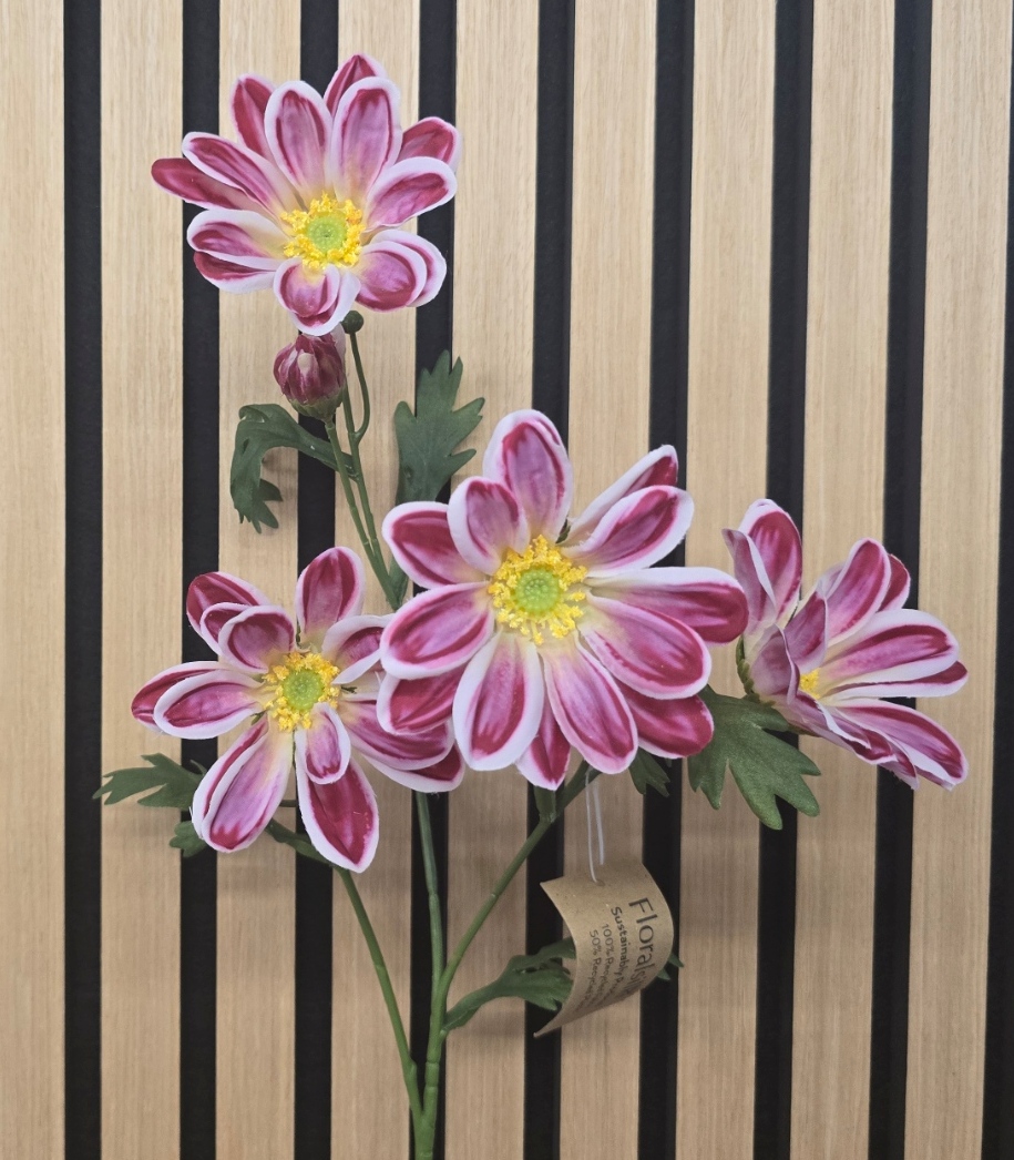 ECO Gazania Daisy Spray 66cm Dark Pink