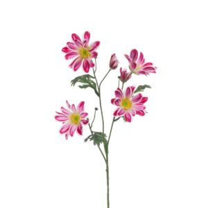 ECO Gazania Daisy Spray 66cm Dark Pink-0