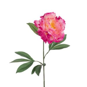 ECO Peony Stem 80cm Dark Pink-0